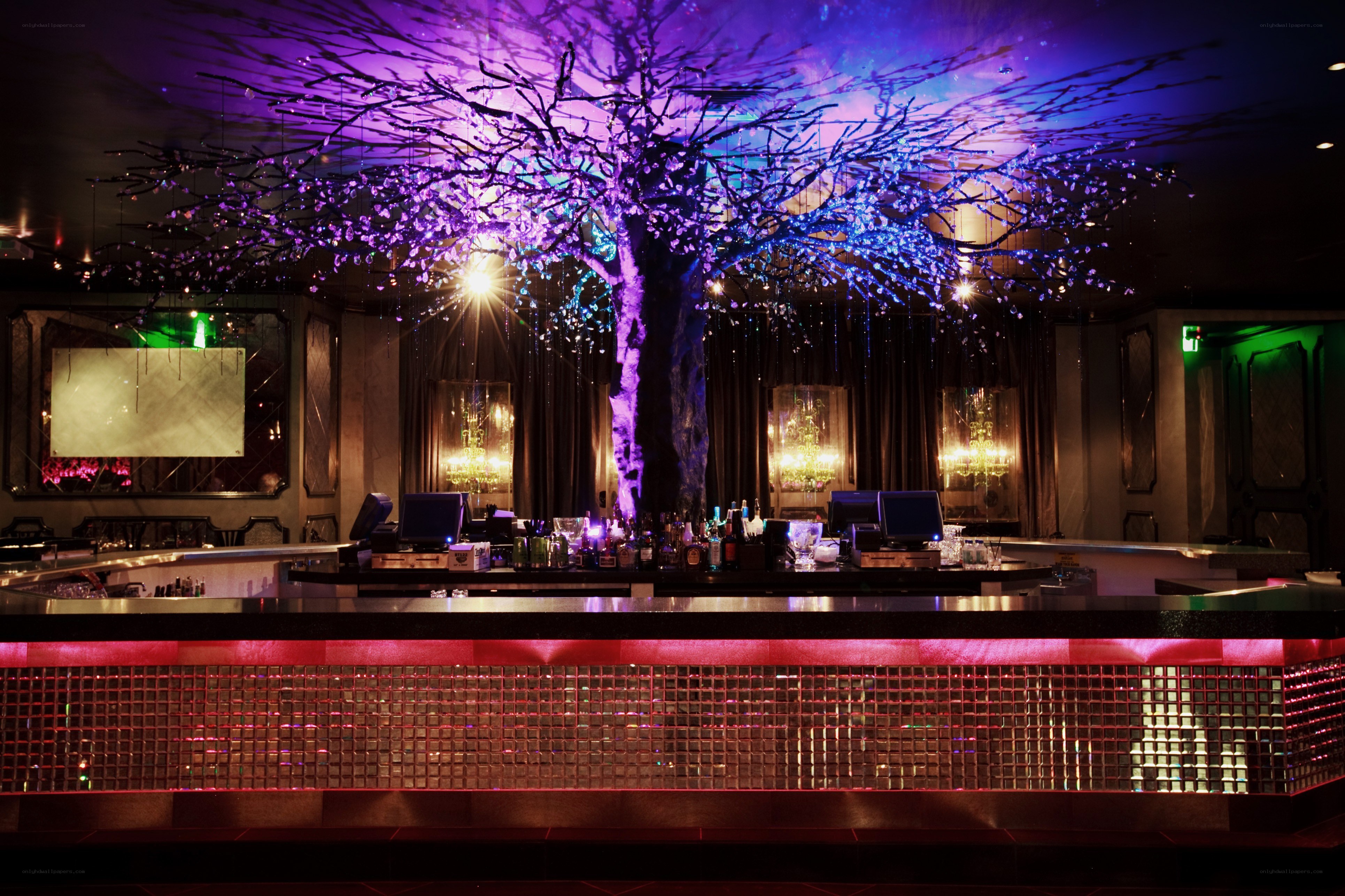 bar with illuminated tree centerpiece