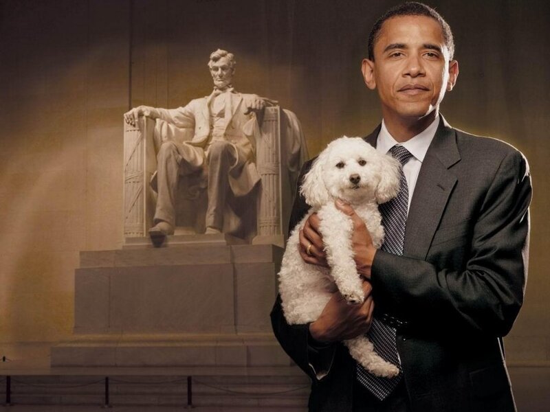 Barack Obama Holding Dog