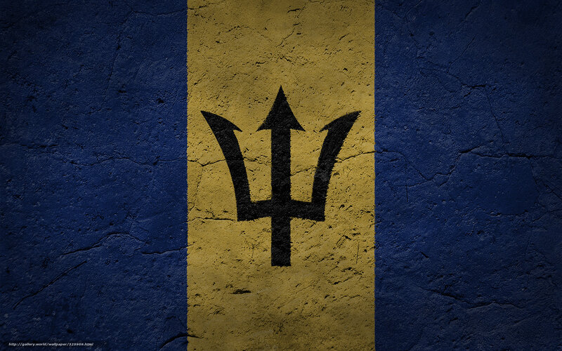 Barbados flag on textured wall