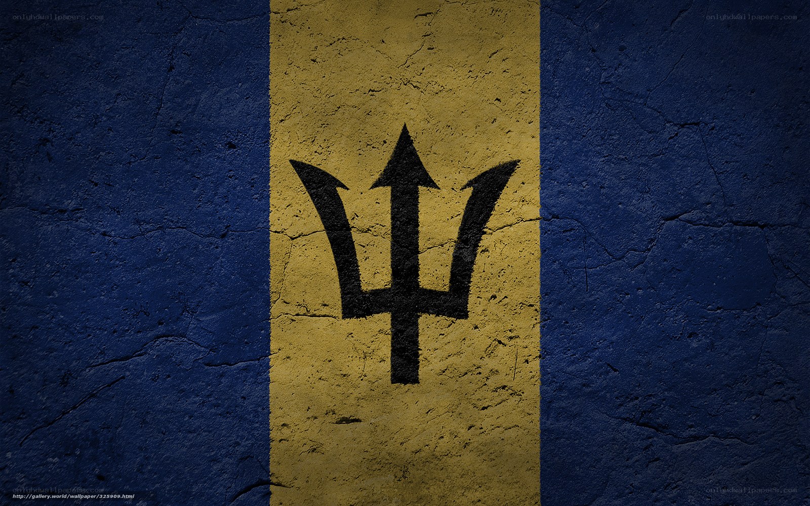 Barbados flag on textured wall