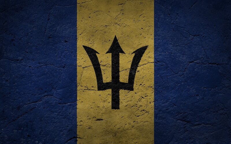 Barbados flag on textured wall