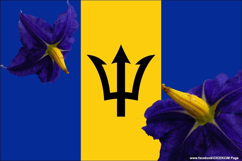 Barbados flag with flowers