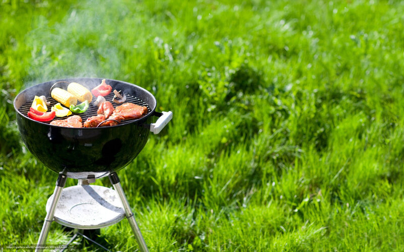 Barbecue Grill on Grass