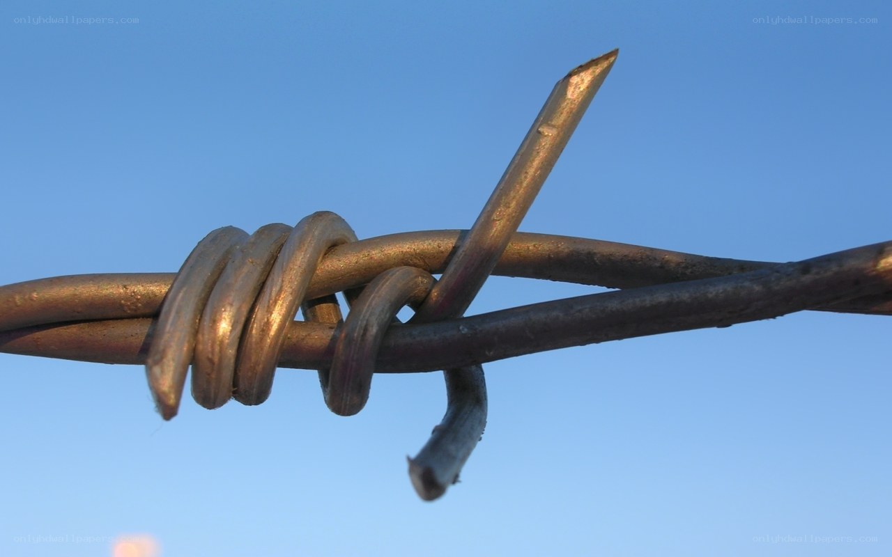 barbed wire against blue sky