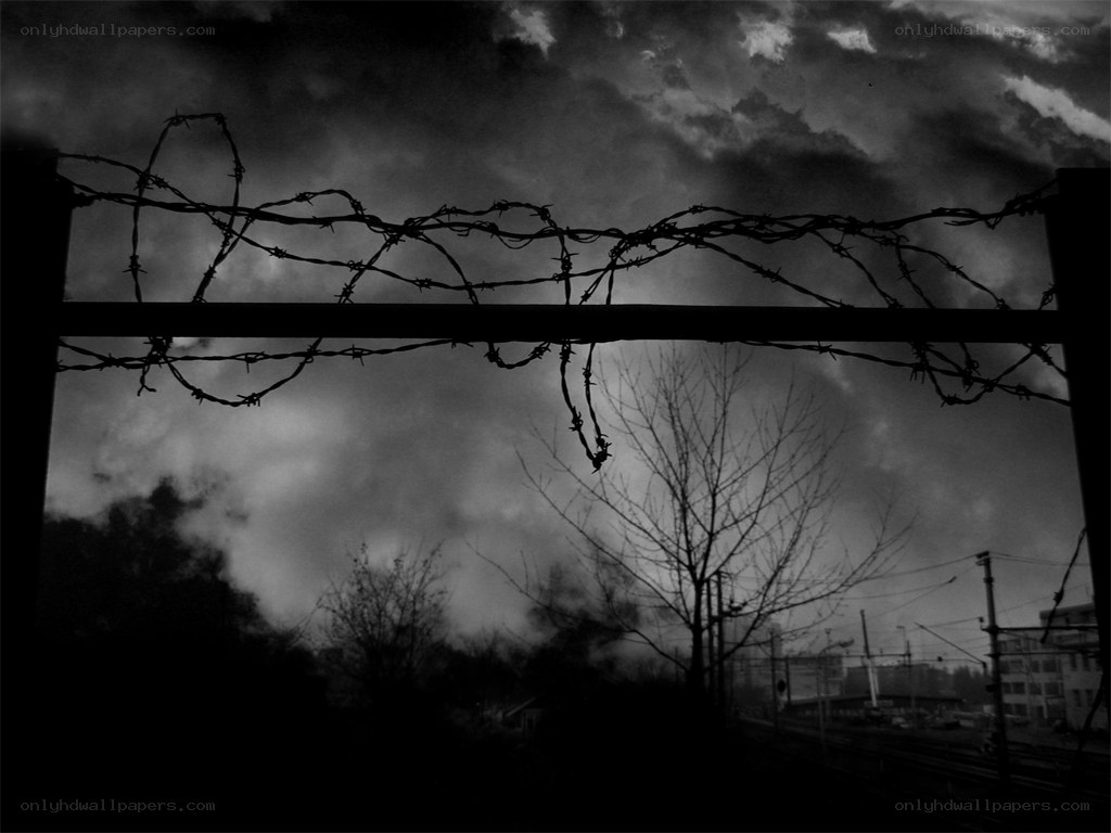 Barbed wire against stormy sky