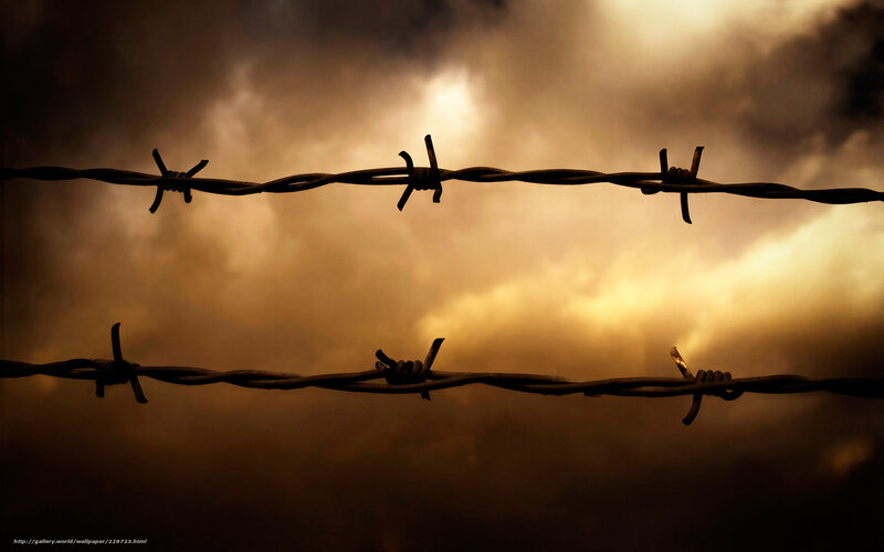 Barbed wire against stormy sky