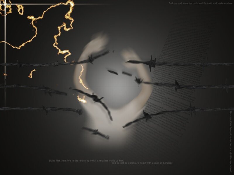 Barbed wire and light