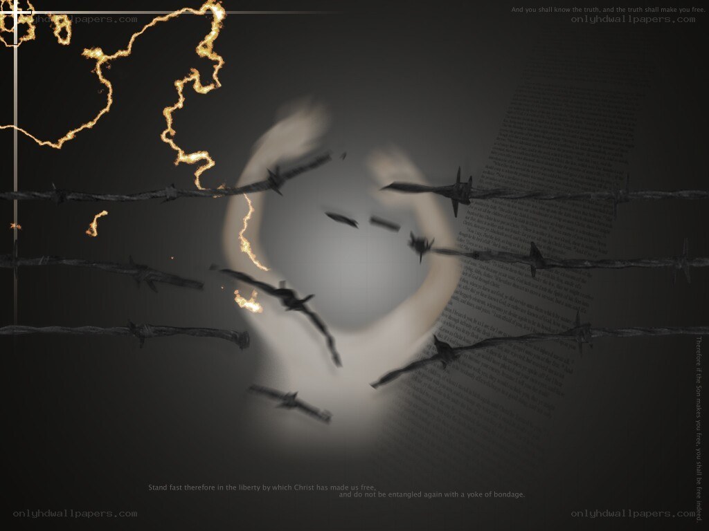 Barbed wire and light