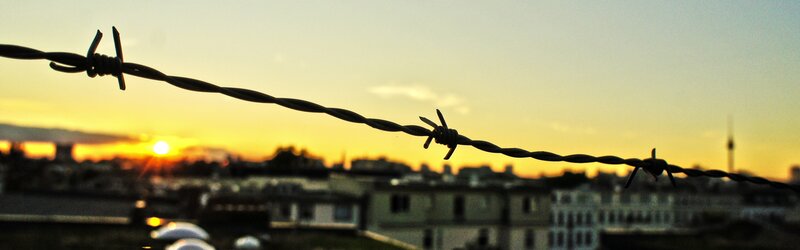 Barbed wire at sunset
