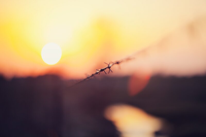 Barbed wire at sunset