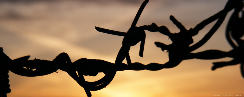 Barbed wire at sunset