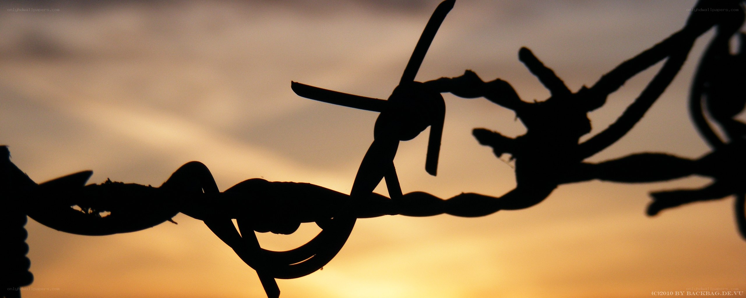 Barbed wire at sunset