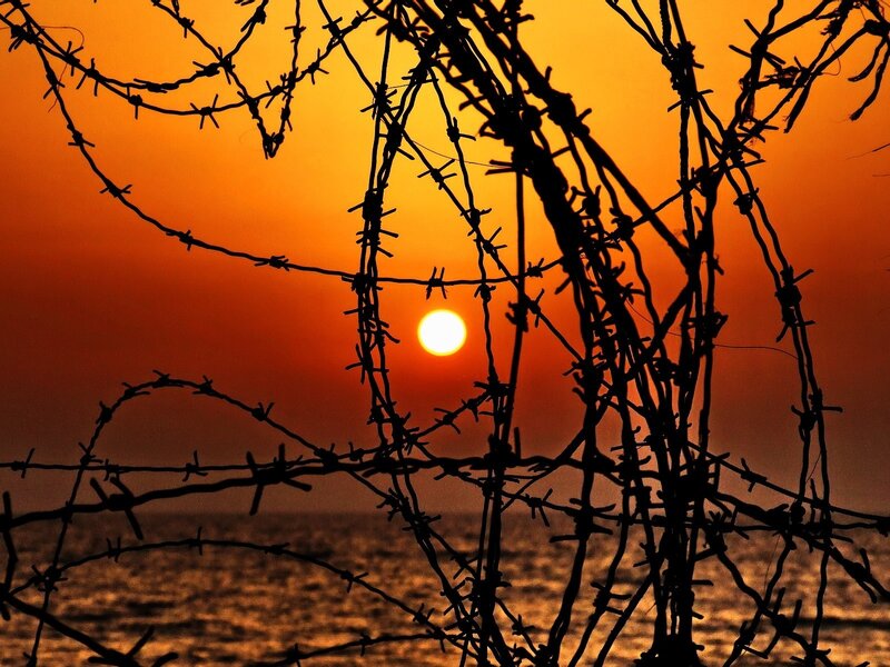 Barbed wire at sunset
