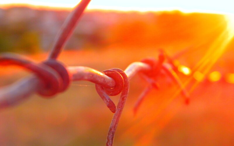 Barbed wire at sunset