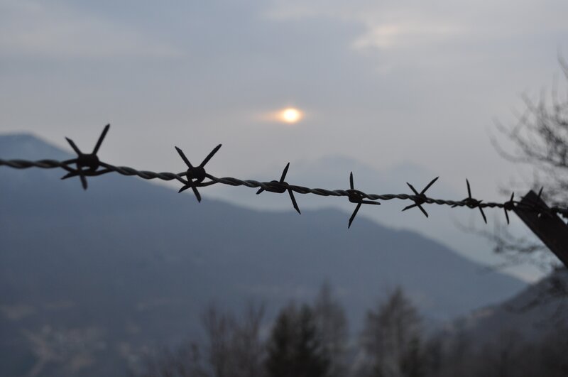 Barbed wire at sunset