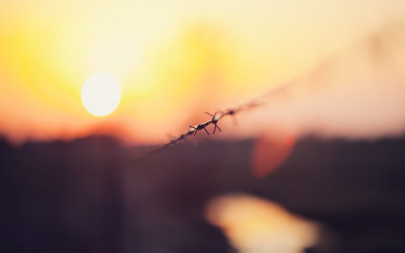 Barbed Wire at Sunset — Yellow, Dramatic, Photograph, Sun