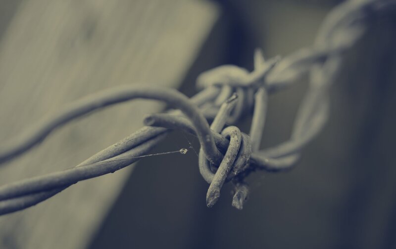 barbed wire close-up