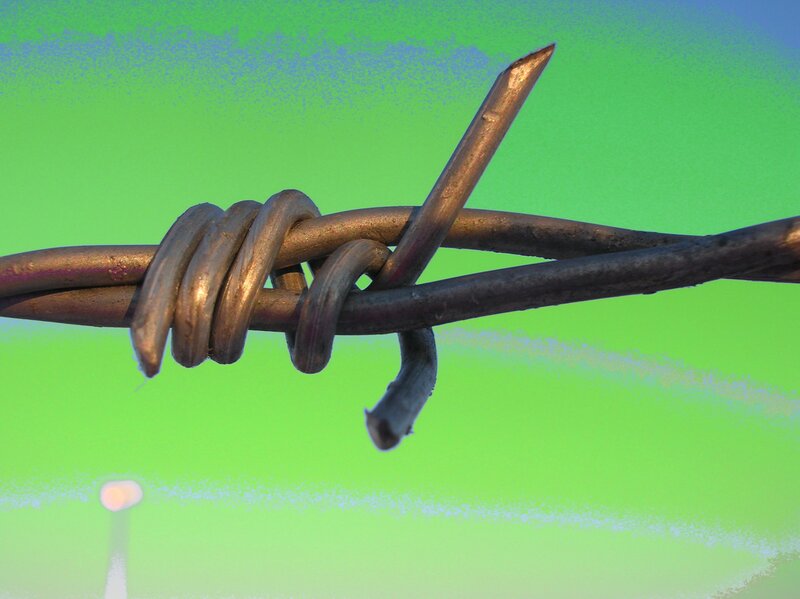 Barbed Wire Close-up — Green