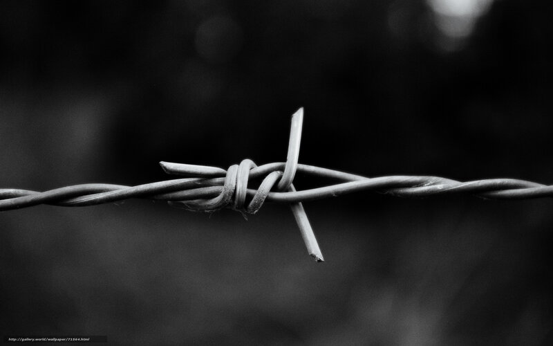 Barbed wire close-up