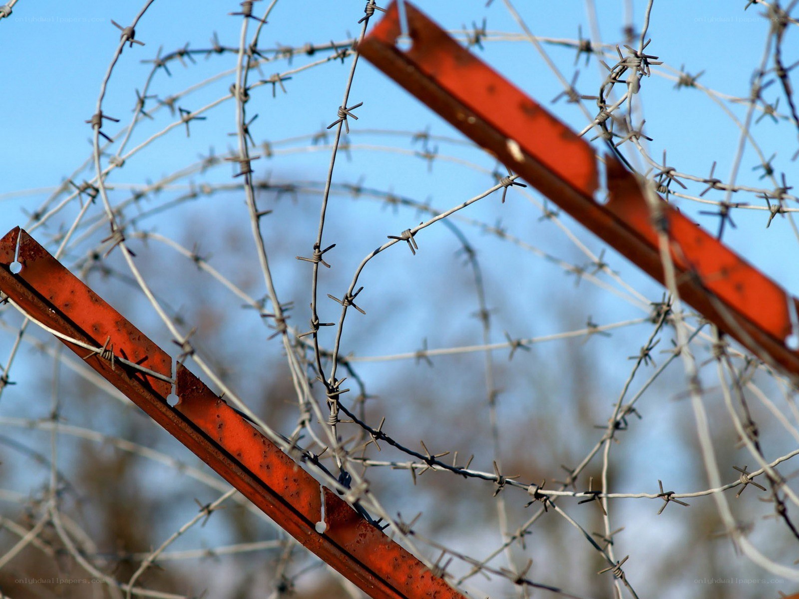 barbed wire fence against blue sky