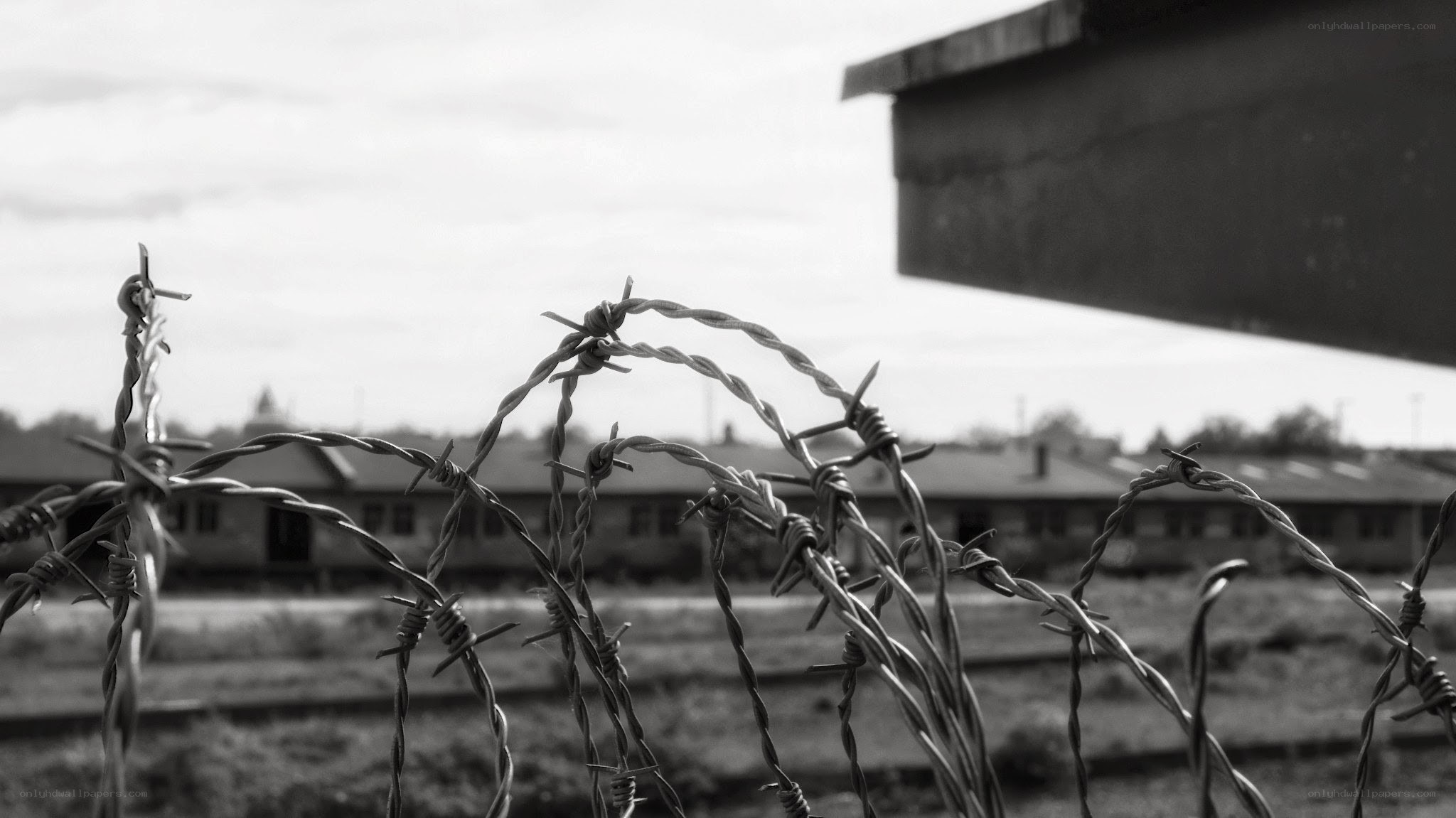 Barbed wire fence at a camp