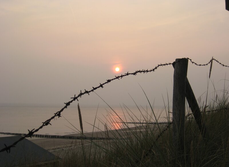 Barbed Wire Fence at Beach