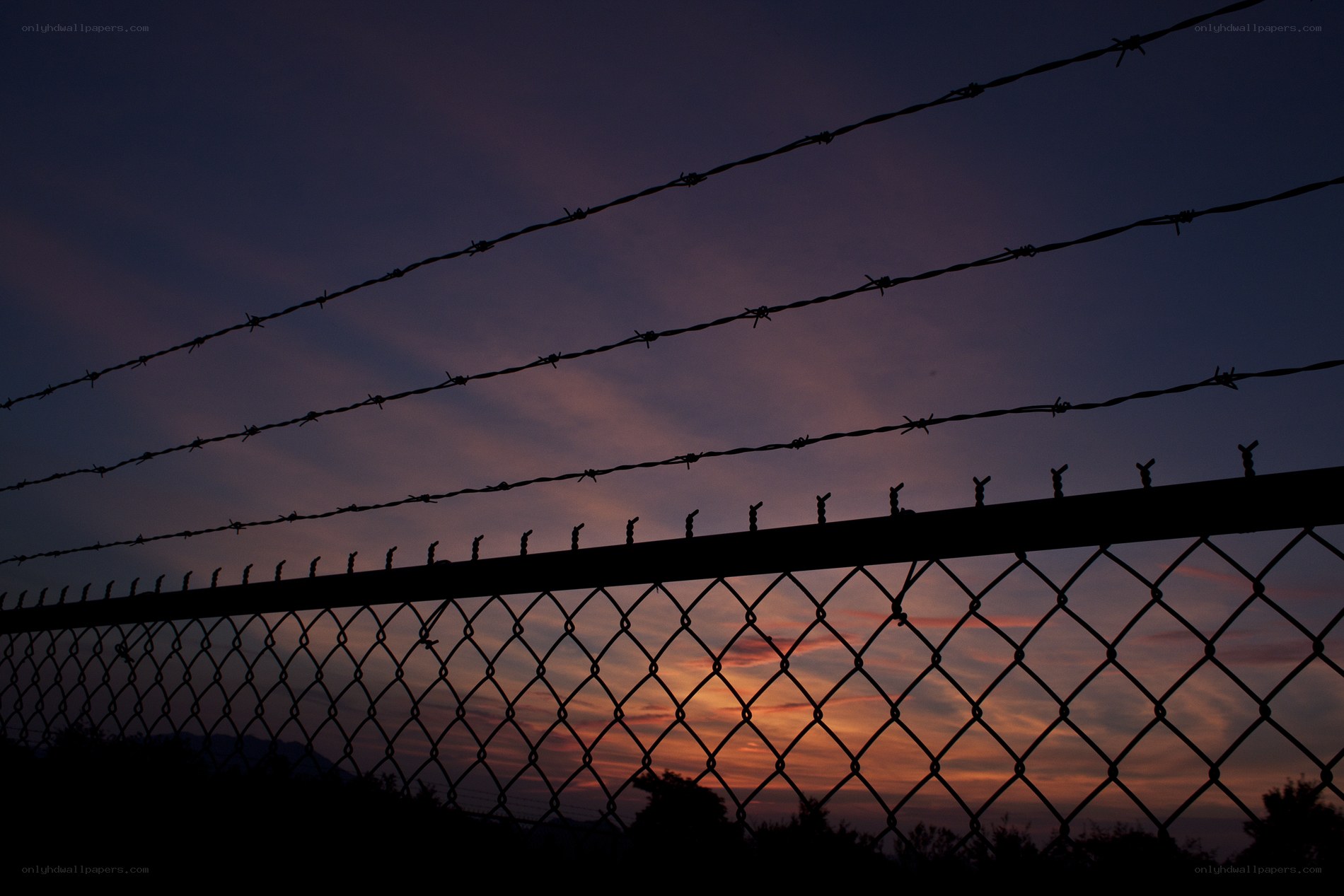 Barbed wire fence at sunset