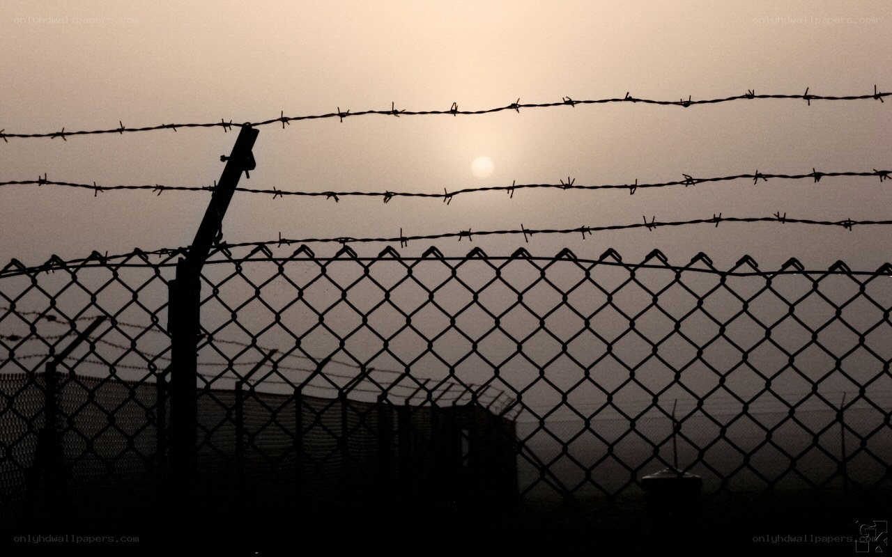 Barbed wire fence at sunset