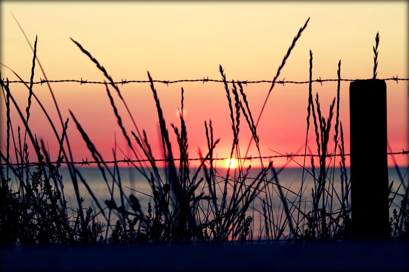 Barbed Wire Fence at Sunset — Orange, Serene