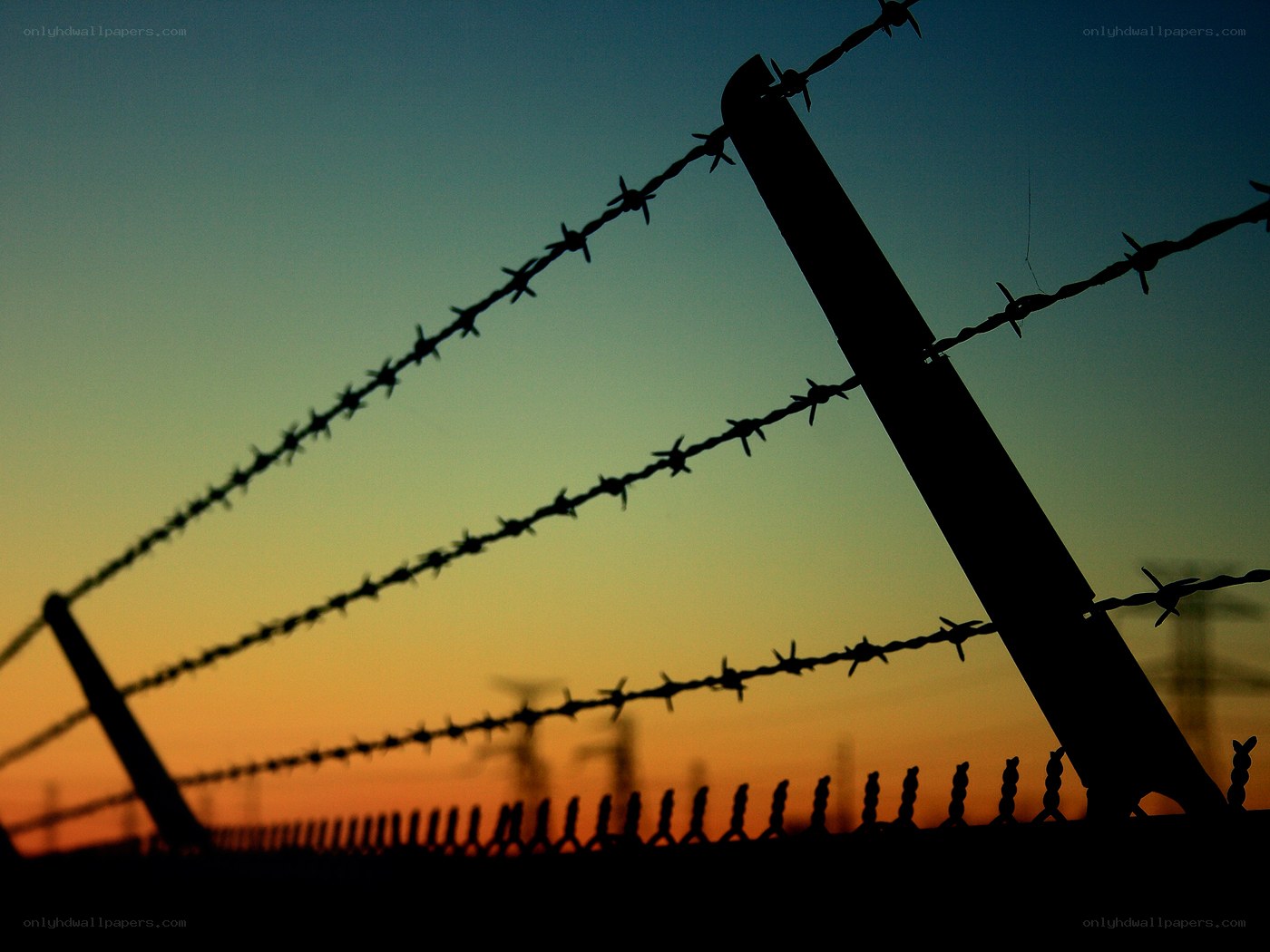 Barbed wire fence at sunset