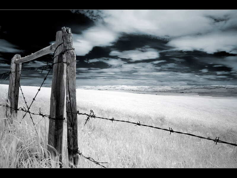 Barbed Wire Fence — Black, Dramatic, Photograph