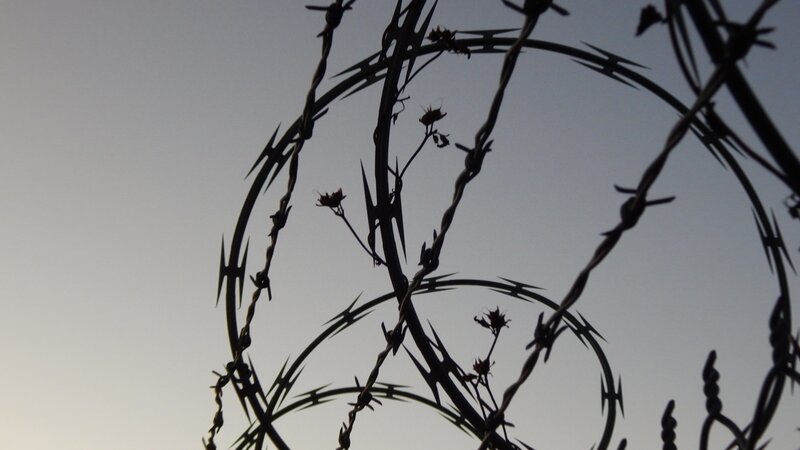Barbed Wire Fence — Black, Dramatic, Sunset