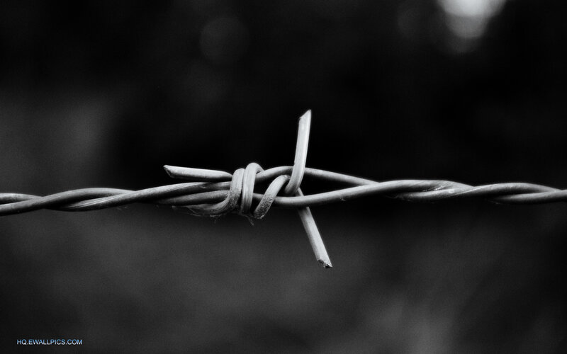 Barbed Wire Fence — Black, Dramatic