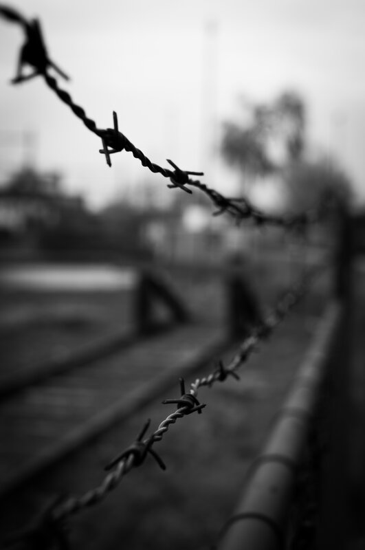 Barbed Wire Fence — Black, Somber