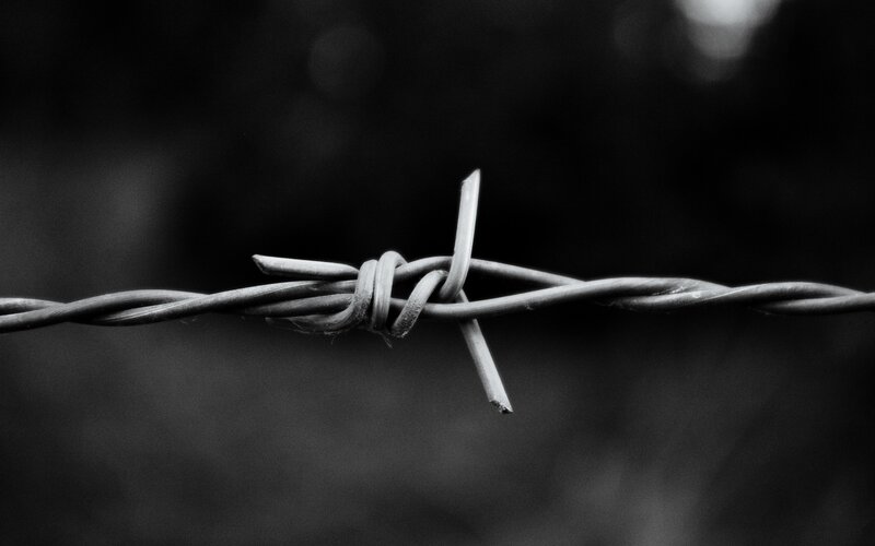 Barbed Wire Fence — Black