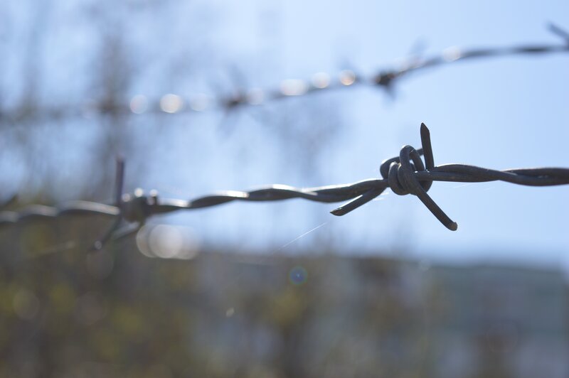 Barbed Wire Fence — Blue, Dramatic, Afternoon