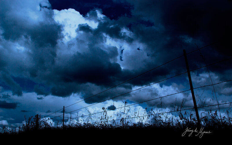 Barbed Wire Fence — Blue