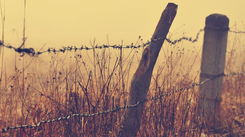 Barbed Wire Fence — Brown, Somber