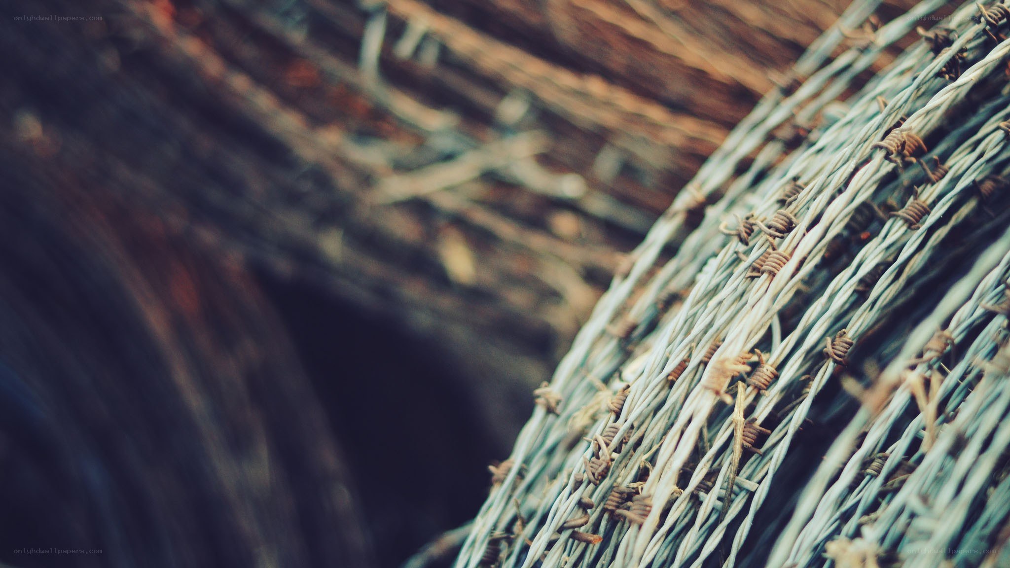 barbed wire fence close-up