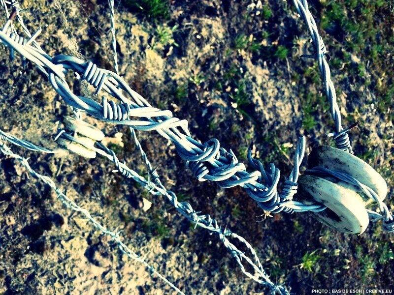 Barbed wire fence close-up