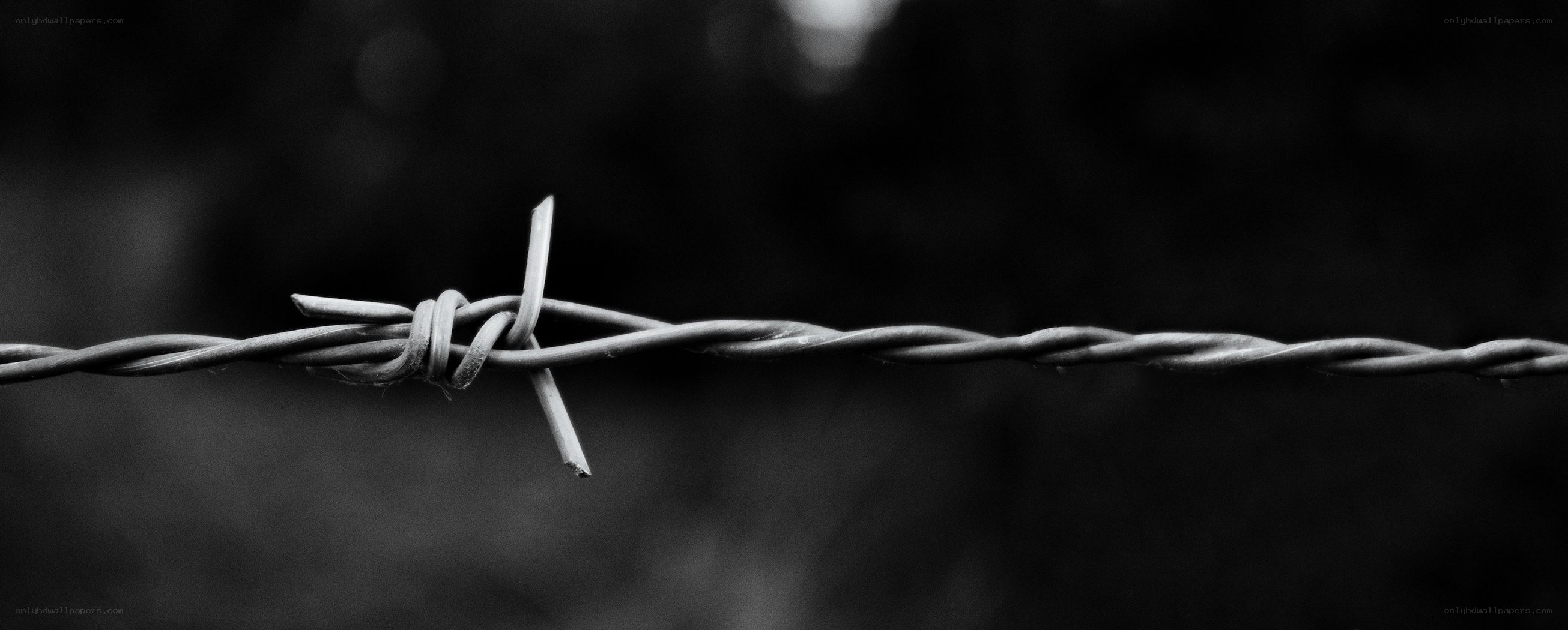 Barbed wire fence detail