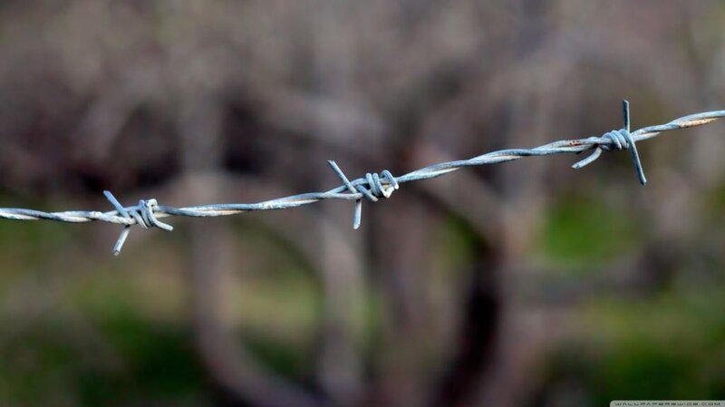 Barbed Wire Fence — Gray, Dramatic, Photograph