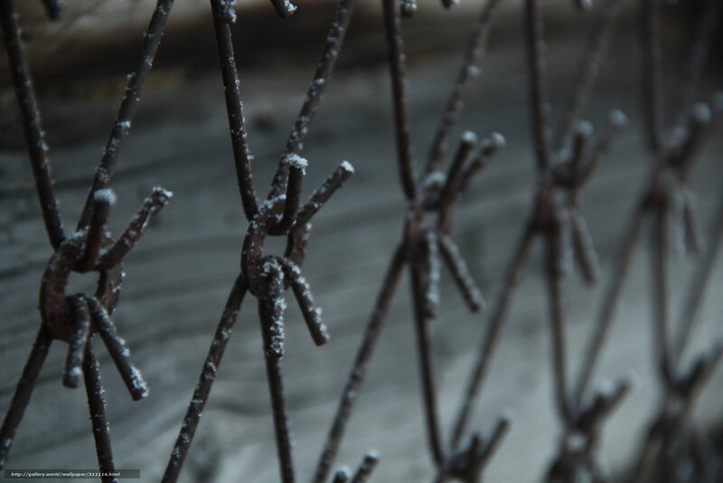 Barbed Wire Fence — Gray, Dramatic, Winter