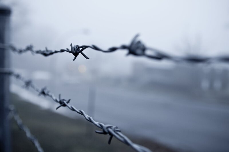 Barbed Wire Fence — Gray, Dreary