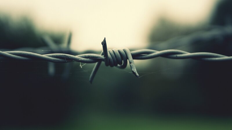 Barbed Wire Fence — Gray, Somber