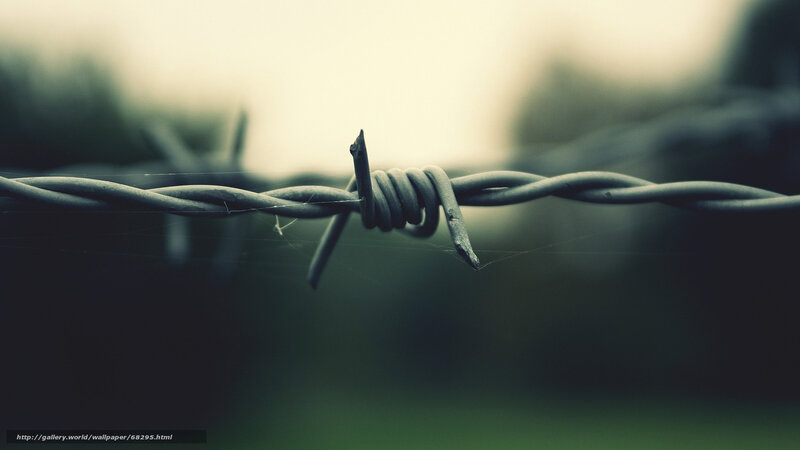 Barbed Wire Fence — Gray