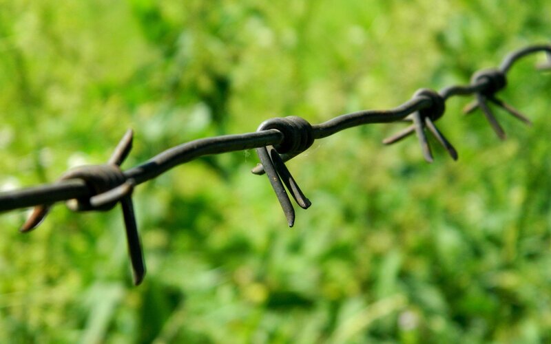 Barbed Wire Fence — Green, Neutral