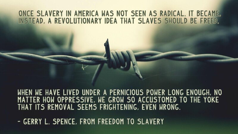 Barbed Wire Fence — Green, Somber, Reflective