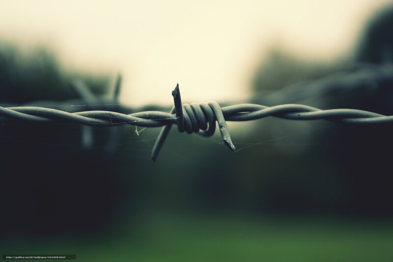 Barbed Wire Fence — Green, Somber