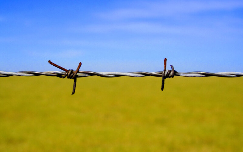 Barbed wire fence in a field